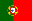 Portuguese Language